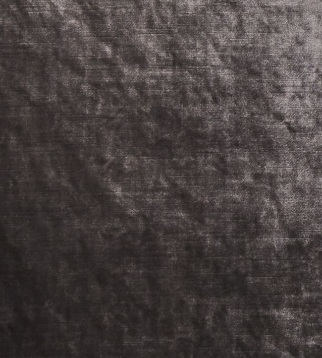Allure Fabric by Clarke & Clarke Espresso