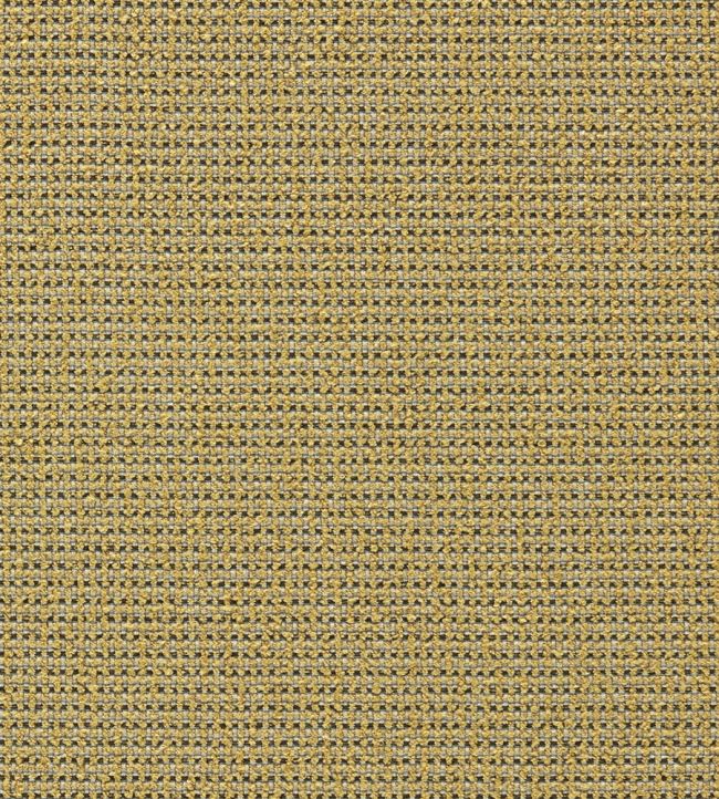Altan Fabric by Harlequin Nectar/Ivory