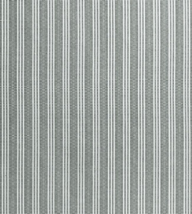 Reed Stripe Fabric by Anna French in Black | Jane Clayton