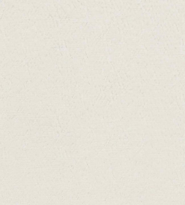 Anshu Fabric in Chalk by Designers Guild | Jane Clayton