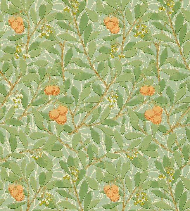 Arbutus Wallpaper by Morris & Co Green/Terracotta