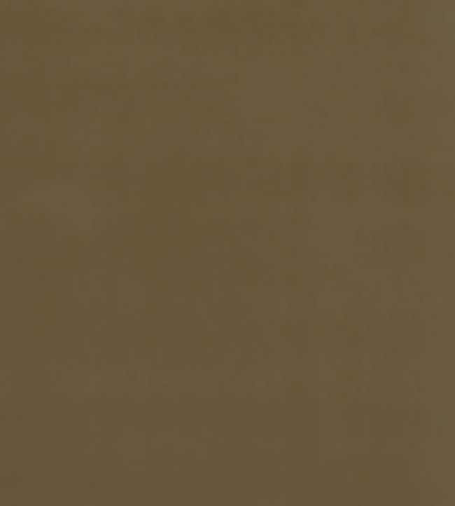 Baker House Velvet Fabric by GP & J Baker Camel