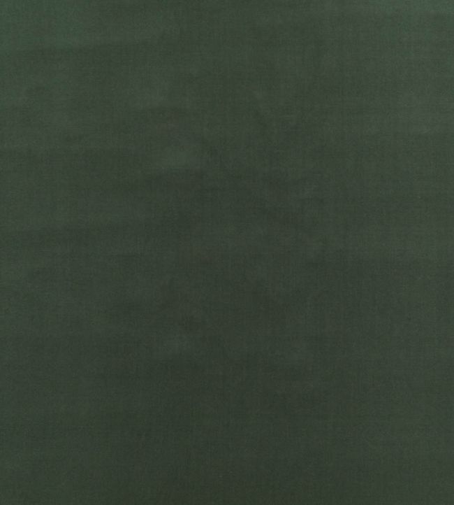 Baker House Velvet Fabric by GP & J Baker Eucalyptus
