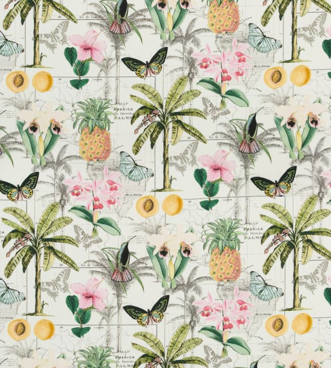 Orinoco Fabric by Baker Lifestyle Tropical