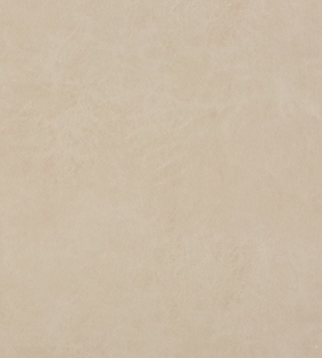 Lexham Fabric by Baker Lifestyle Oatmeal