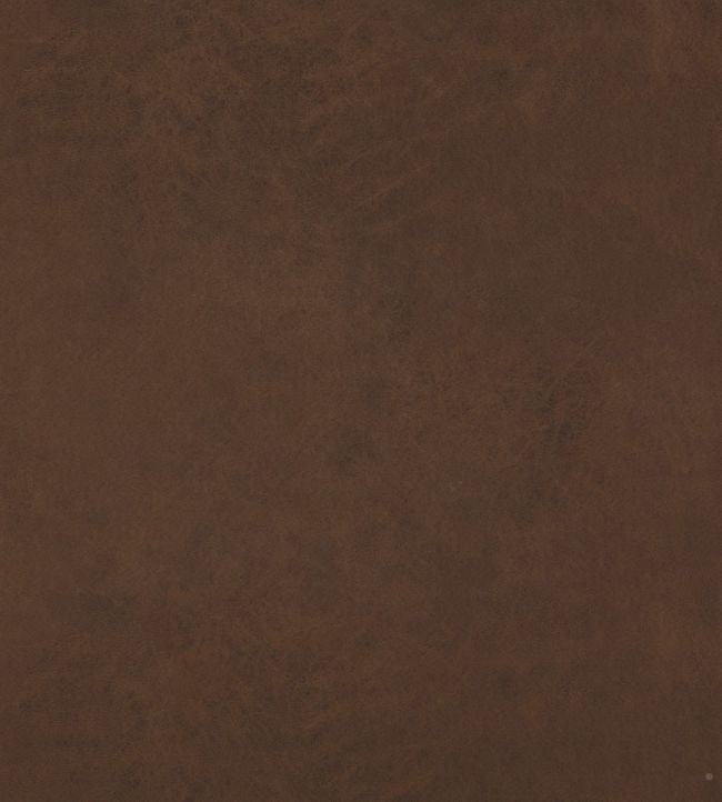 Lexham Fabric by Baker Lifestyle Sable