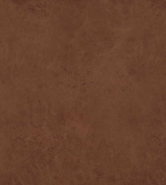 Lexham Fabric by Baker Lifestyle Chestnut