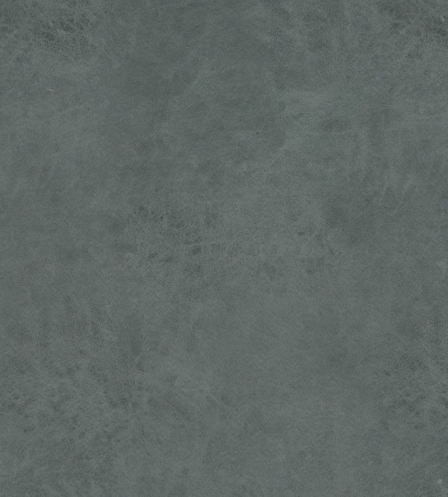 Lexham Fabric by Baker Lifestyle Airforce