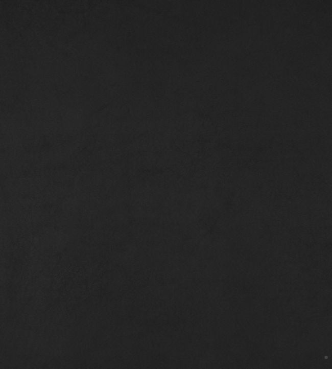 Lexham Fabric by Baker Lifestyle Ebony