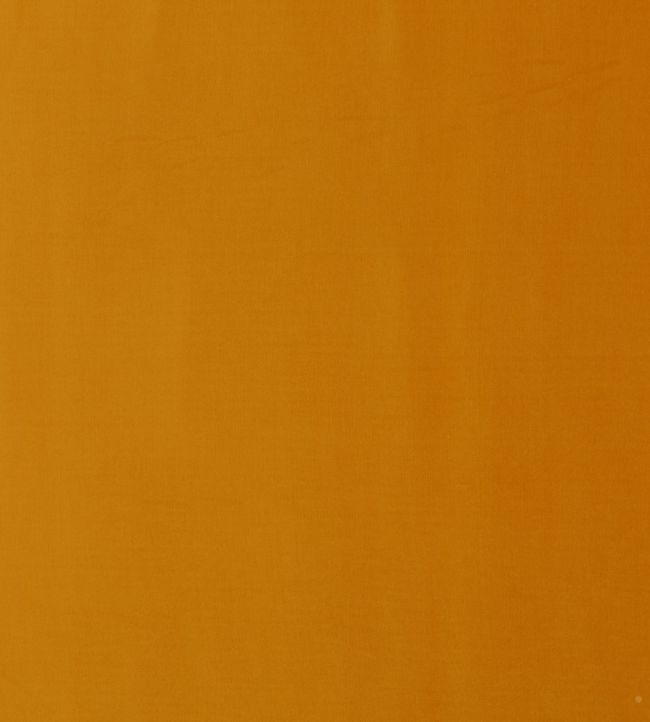 Milborne Fabric by Baker Lifestyle Maize