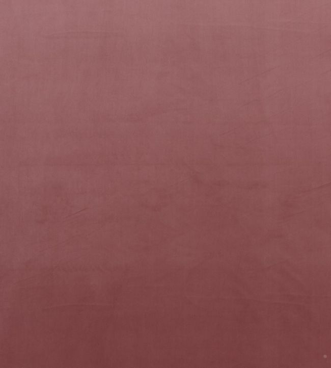 Montpellier Velvet Fabric by Baker Lifestyle Rose