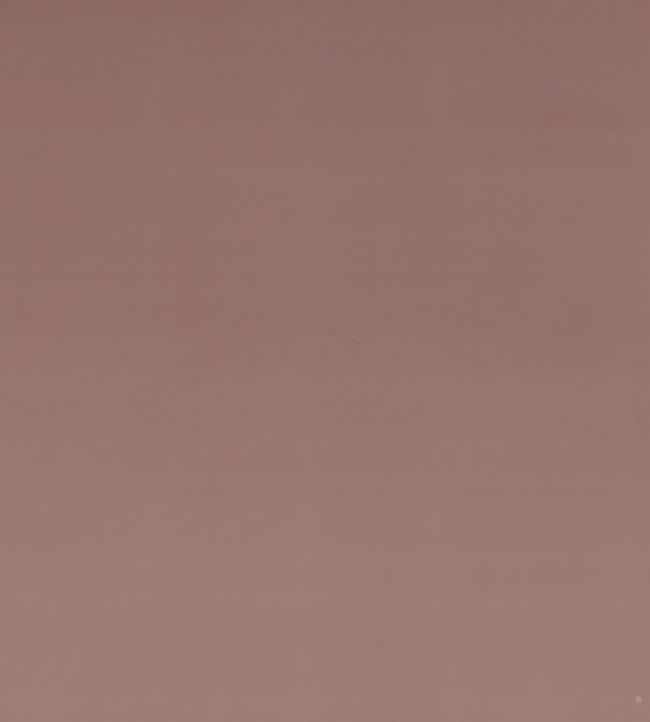 Montpellier Velvet Fabric by Baker Lifestyle Blush