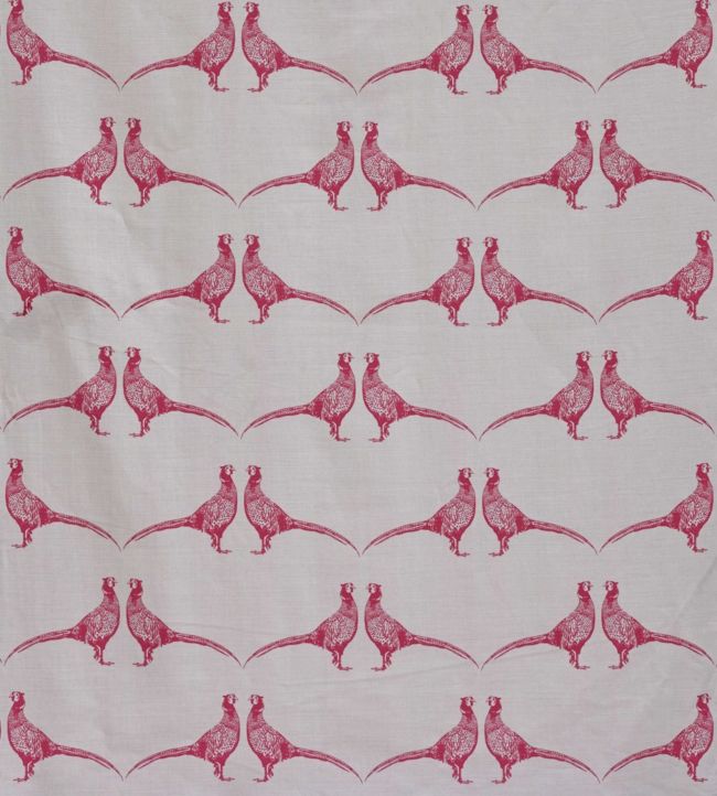 Pheasant Fabric by Barneby Gates Pink on Cream