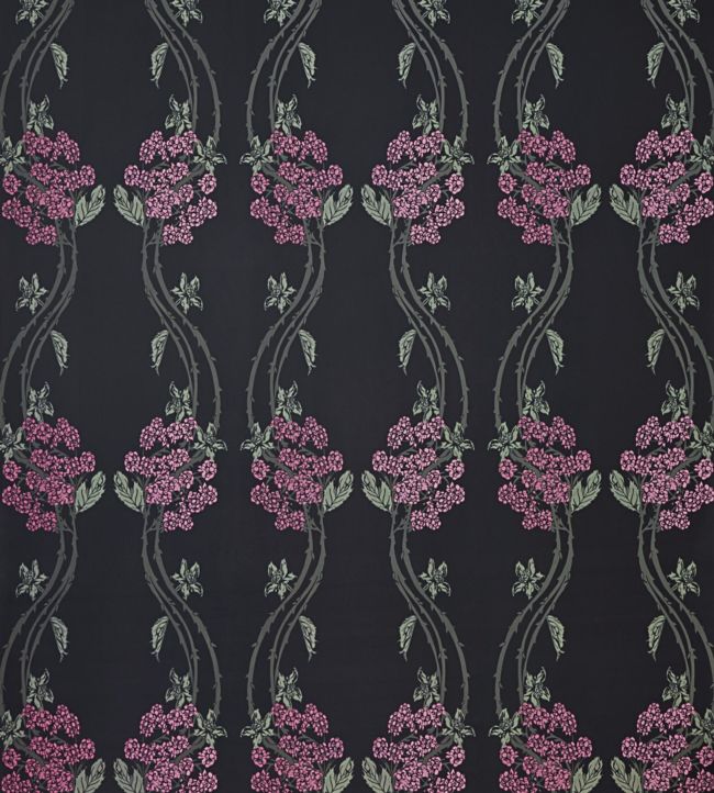 Autumn Berry Wallpaper by Barneby Gates Blackberry