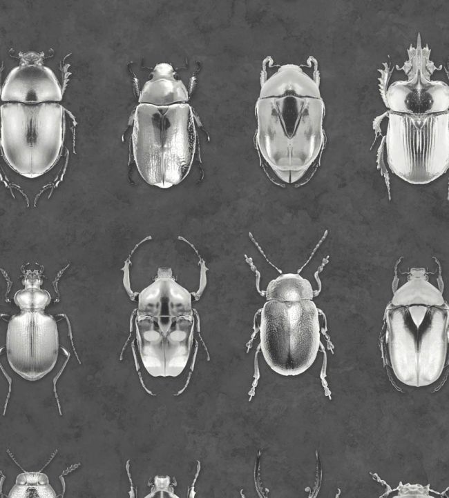 Beetle Jewels Wallpaper by Woodchip & Magnolia Silver/Grey