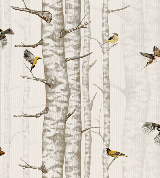 Birch Trees Wallpaper by Coordonne Beige