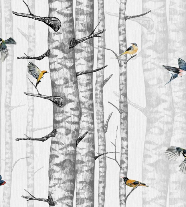 Birch Trees Wallpaper by Coordonne Grey