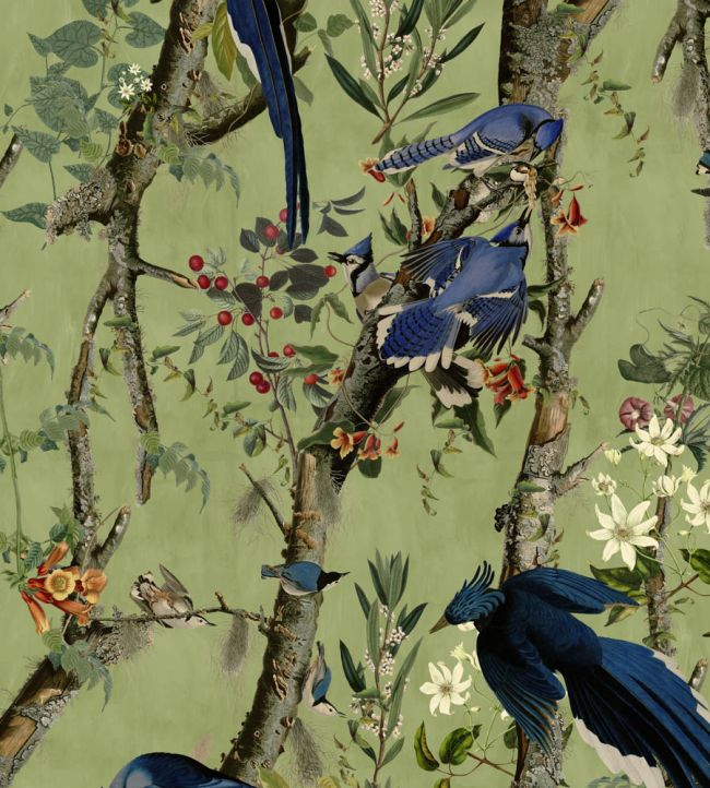 Birds Of Danube Wallpaper by MINDTHEGAP Sage/Royal Blue