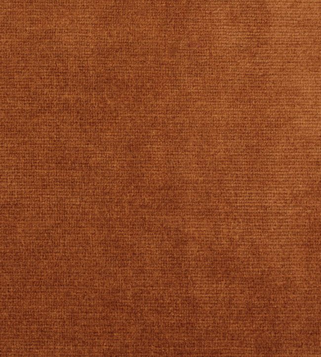 Boho Velvets Fabric by Sanderson Rowanberry