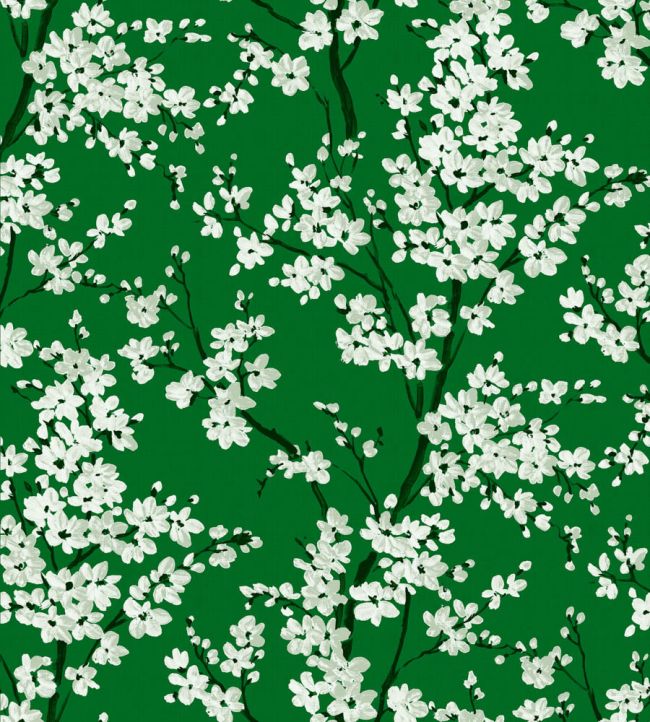 Cherry Blossom Wallpaper by Coordonne Emerald