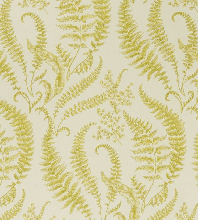 Folium Fabric by Clarke & Clarke Chartreuse