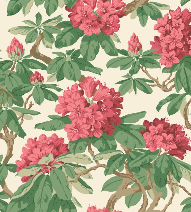 Bourlie Wallpaper by Cole & Son 4019