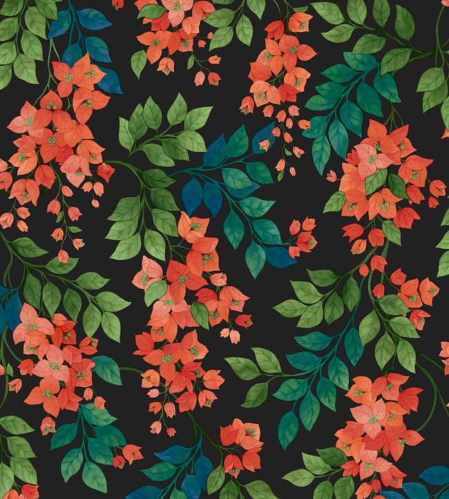 Bougainvillea Wallpaper by Cole & Son 6017