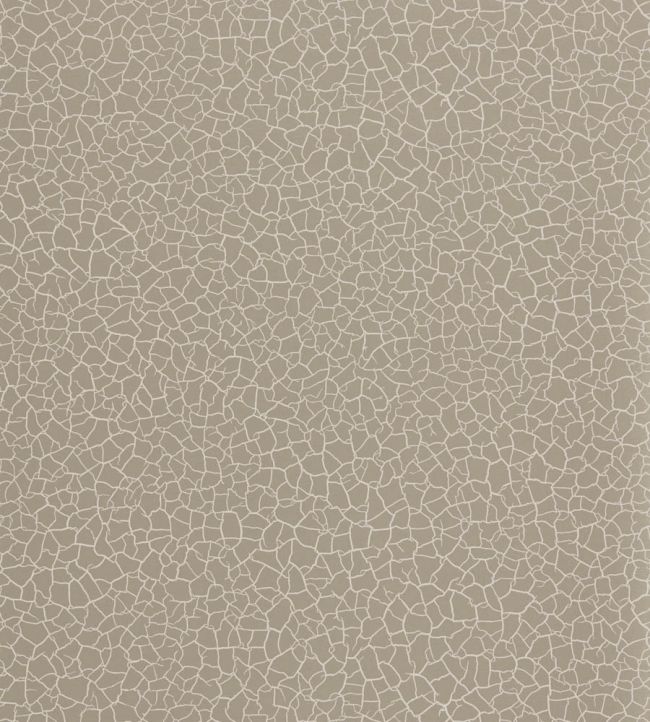 Cracked Earth Wallpaper by Zoffany Stone