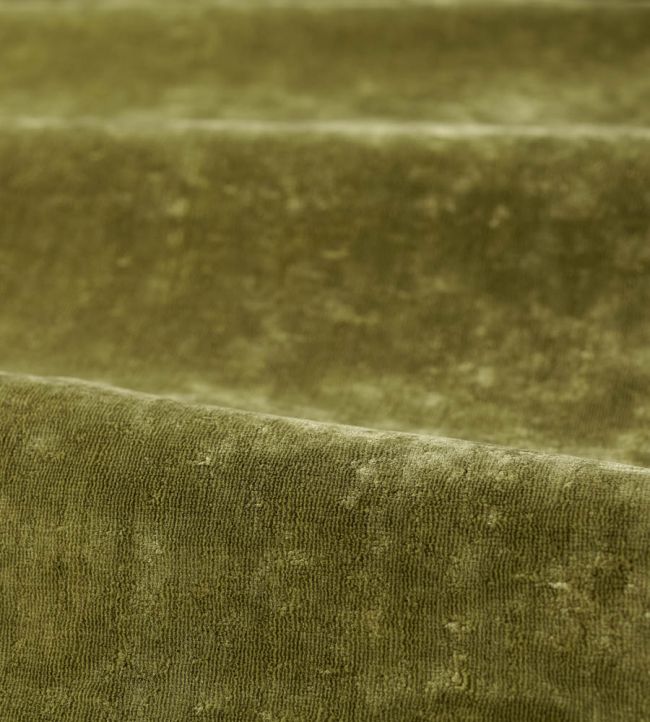 Curzon Fabric by Zoffany Spanish Olive