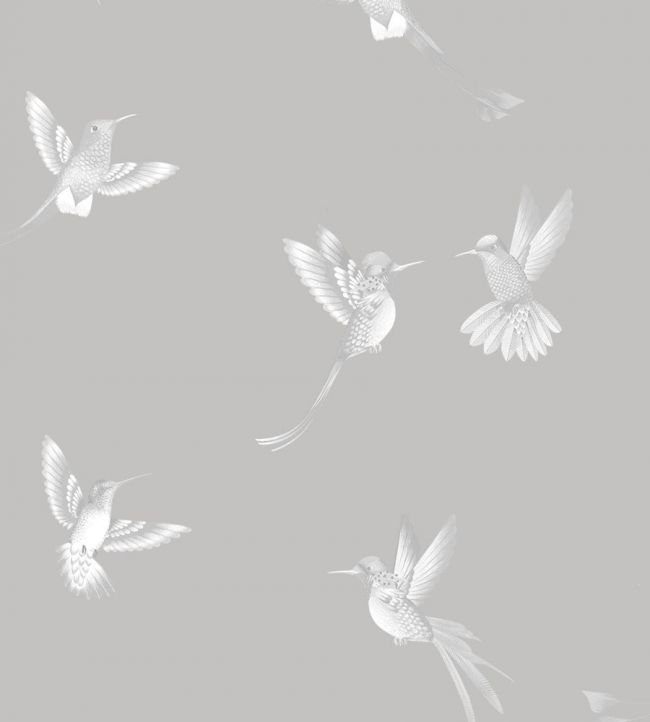 Exotic Birds Wallpaper by Brand McKenzie Concrete Grey