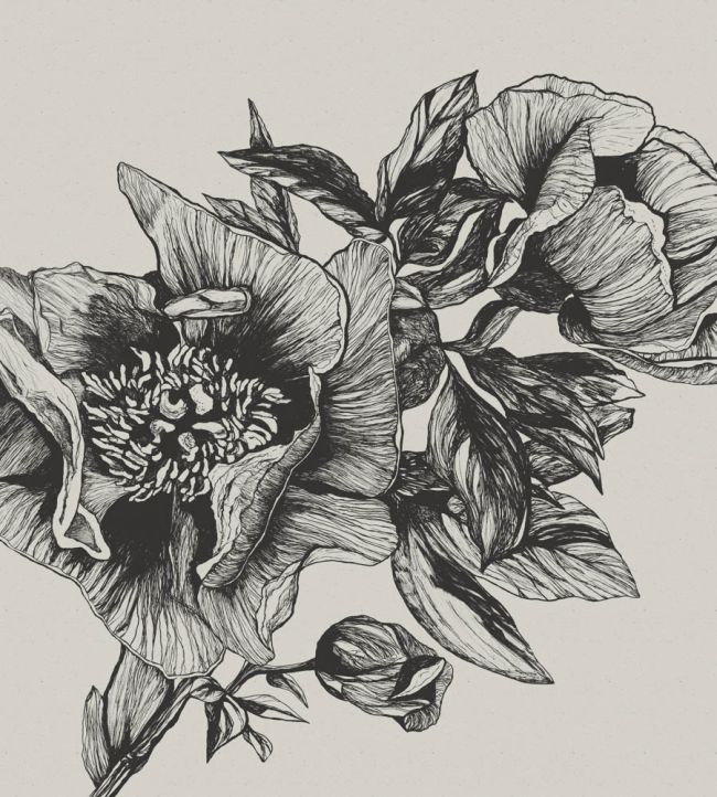 Giant Peonies Mural by Coordonne Ink