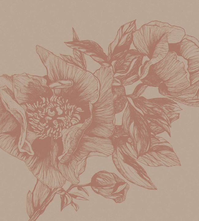 Giant Peonies Mural by Coordonne Nude
