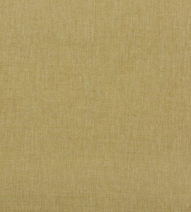 Blizzard Fabric by GP & J Baker Spring