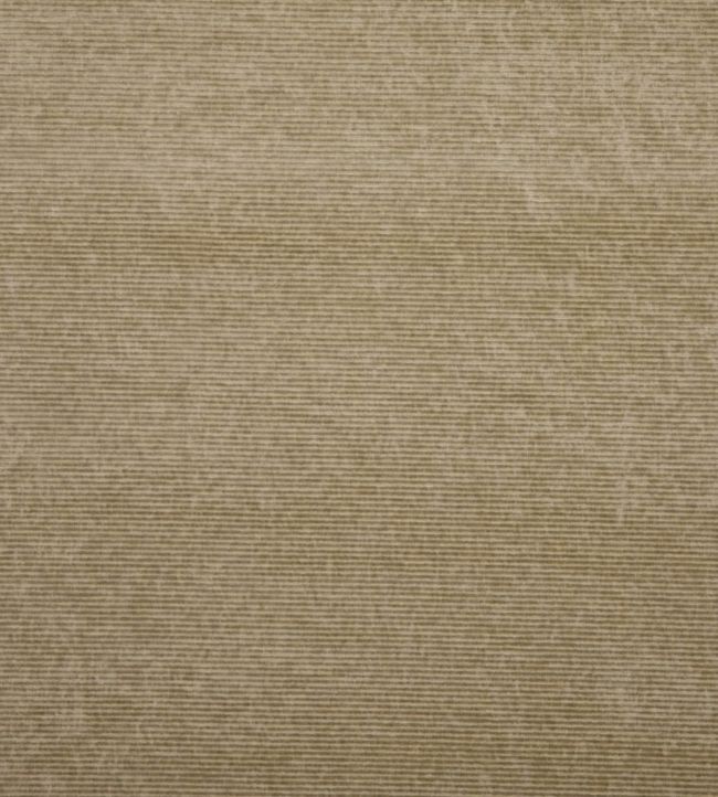 Kendal Velvet Fabric by GP & J Baker Sand