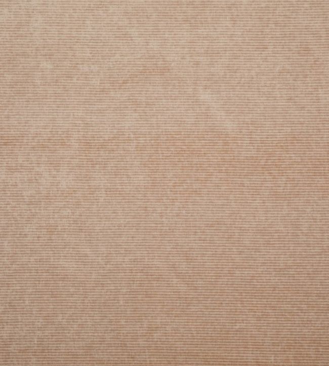 Kendal Velvet Fabric by GP & J Baker Blush