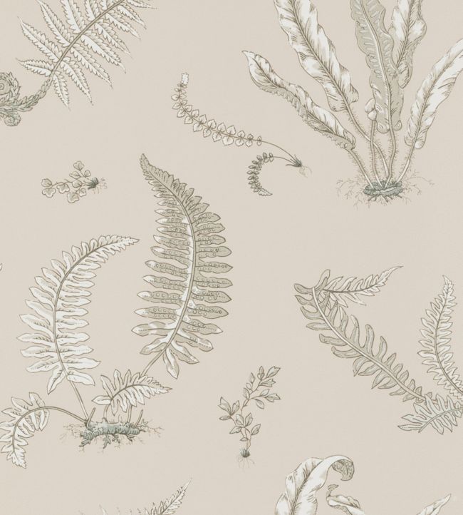 Ferns Wallpaper by GP & J Baker Linen