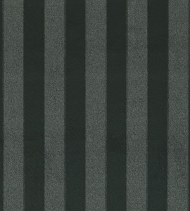 Haldon Fabric by Clarke & Clarke Ebony