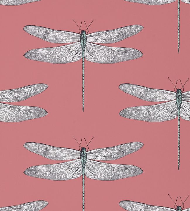 Demoiselle Wallpaper by Harlequin Coral/Mint
