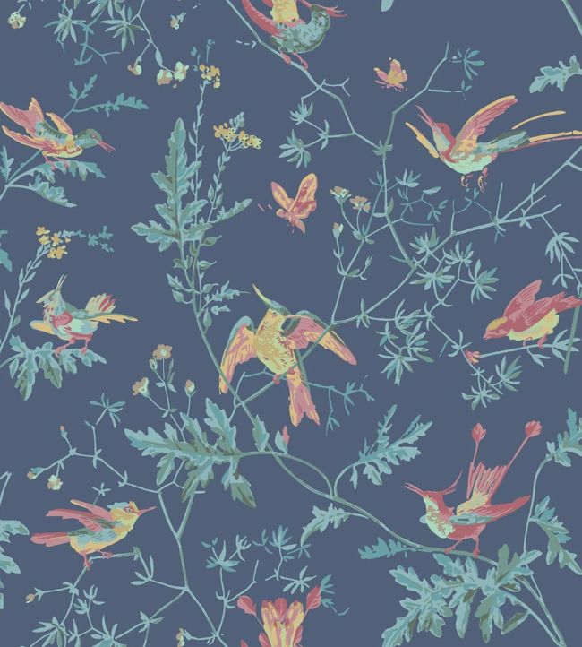 Hummingbirds Wallpaper by Cole & Son Multi, Petrol on Midnight