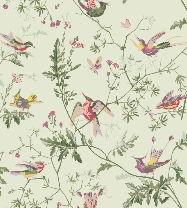 Hummingbirds Wallpaper by Cole & Son Multi, Old Olive on Eau Du Nil