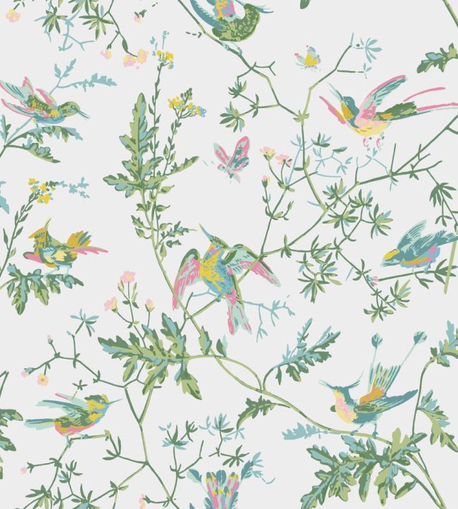 Hummingbirds Wallpaper by Cole & Son Green & Pink