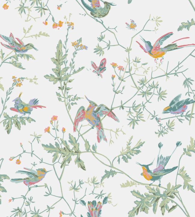 Hummingbirds Wallpaper by Cole & Son Pastel