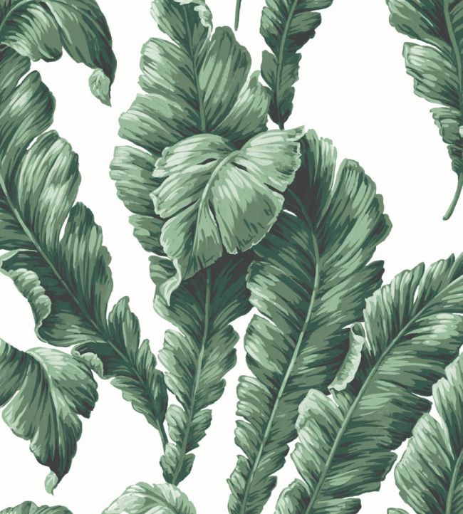 Lets Go Bananas Wallpaper by Woodchip & Magnolia Green