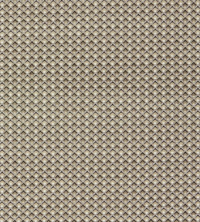 Lyra Fabric by Clarke & Clarke Natural