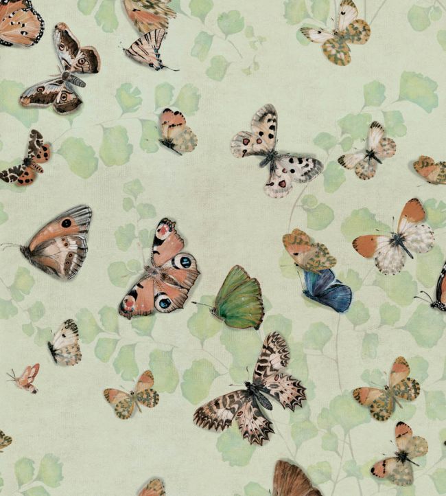 Magic Butterflies Wallpaper by Coordonne Maca
