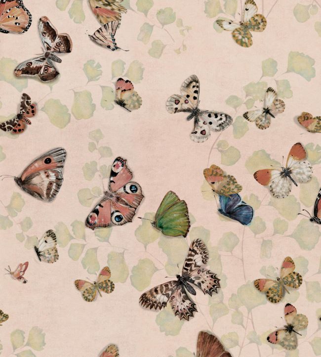 Magic Butterflies Wallpaper by Coordonne Sweet
