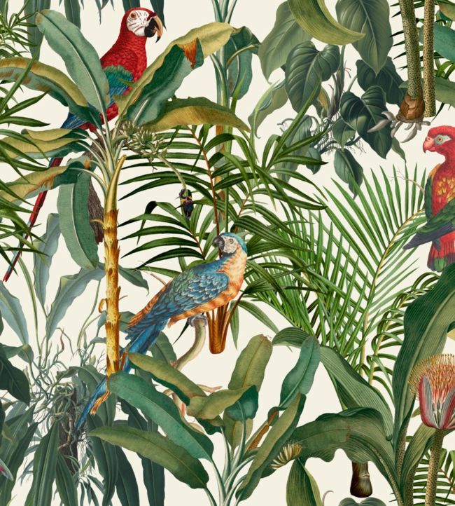 Parrots Of Brasil Wallpaper by MINDTHEGAP 21