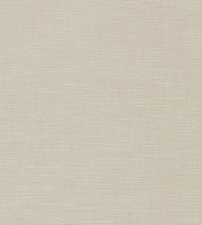 Mineral Fabric by Harlequin Dove