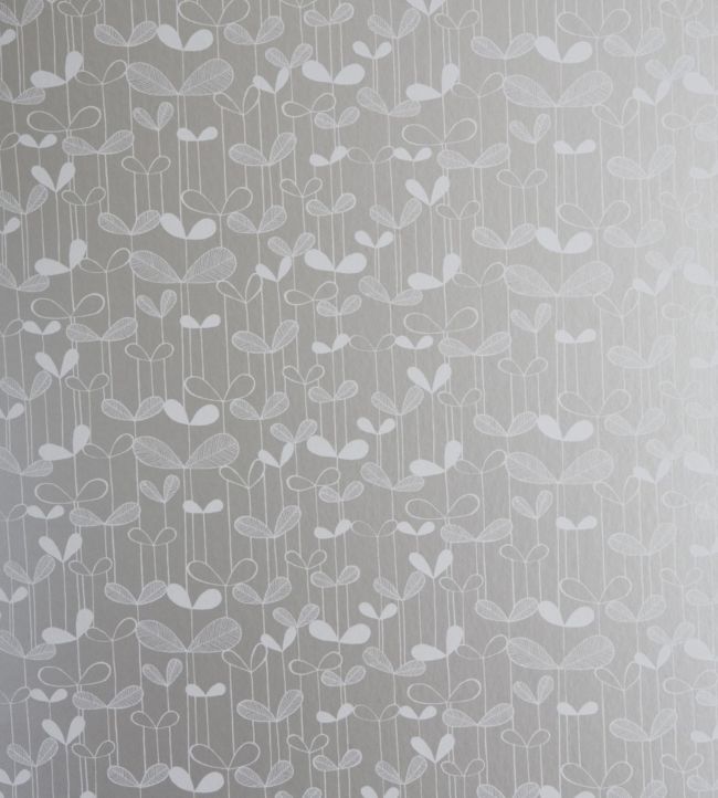 Saplings Wallpaper by MissPrint Silver with White