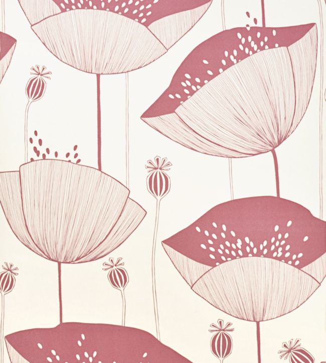 Poppy Wallpaper by MissPrint Blush